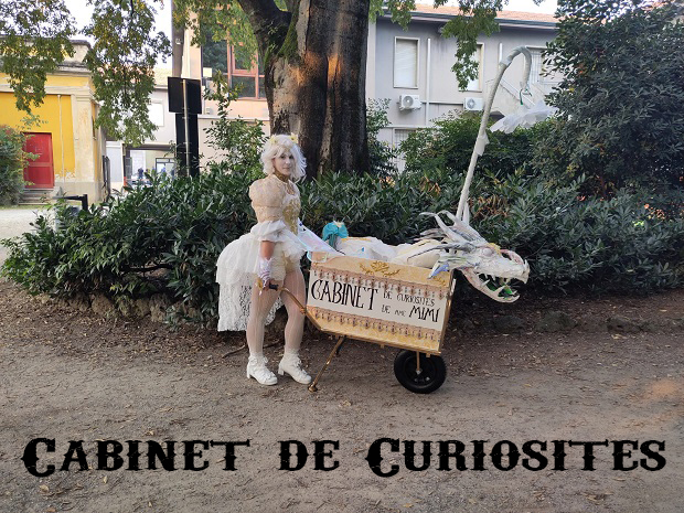 Cabinet de Curiosités de Madame Mimì